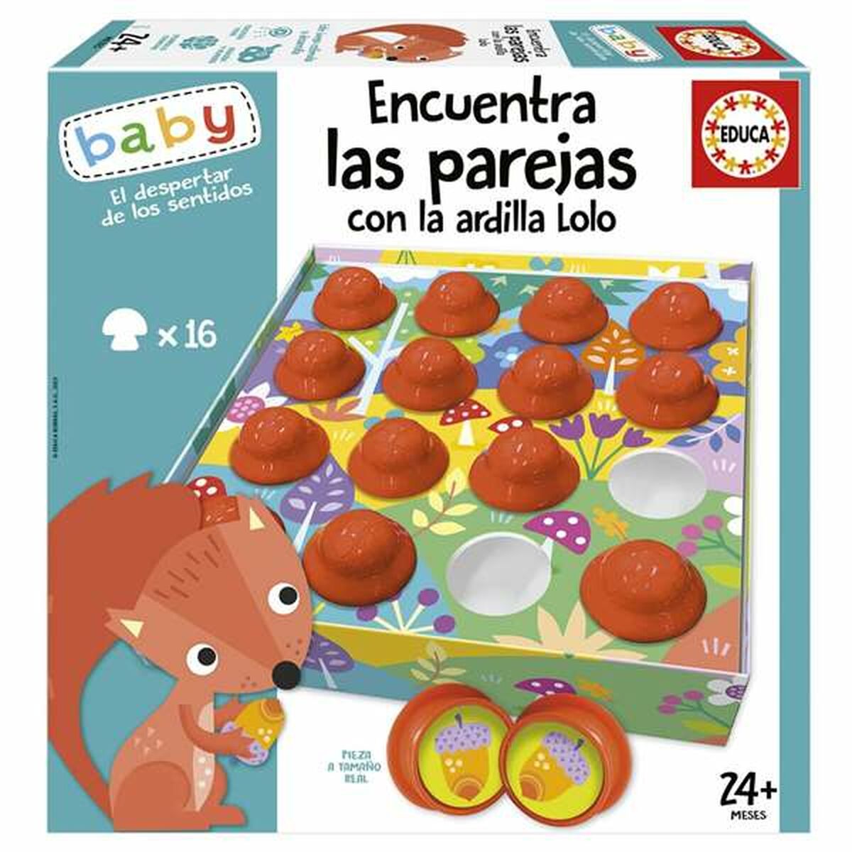Joc Educativ Educa - Jucarii si jocuri, Jocuri și accesorii
