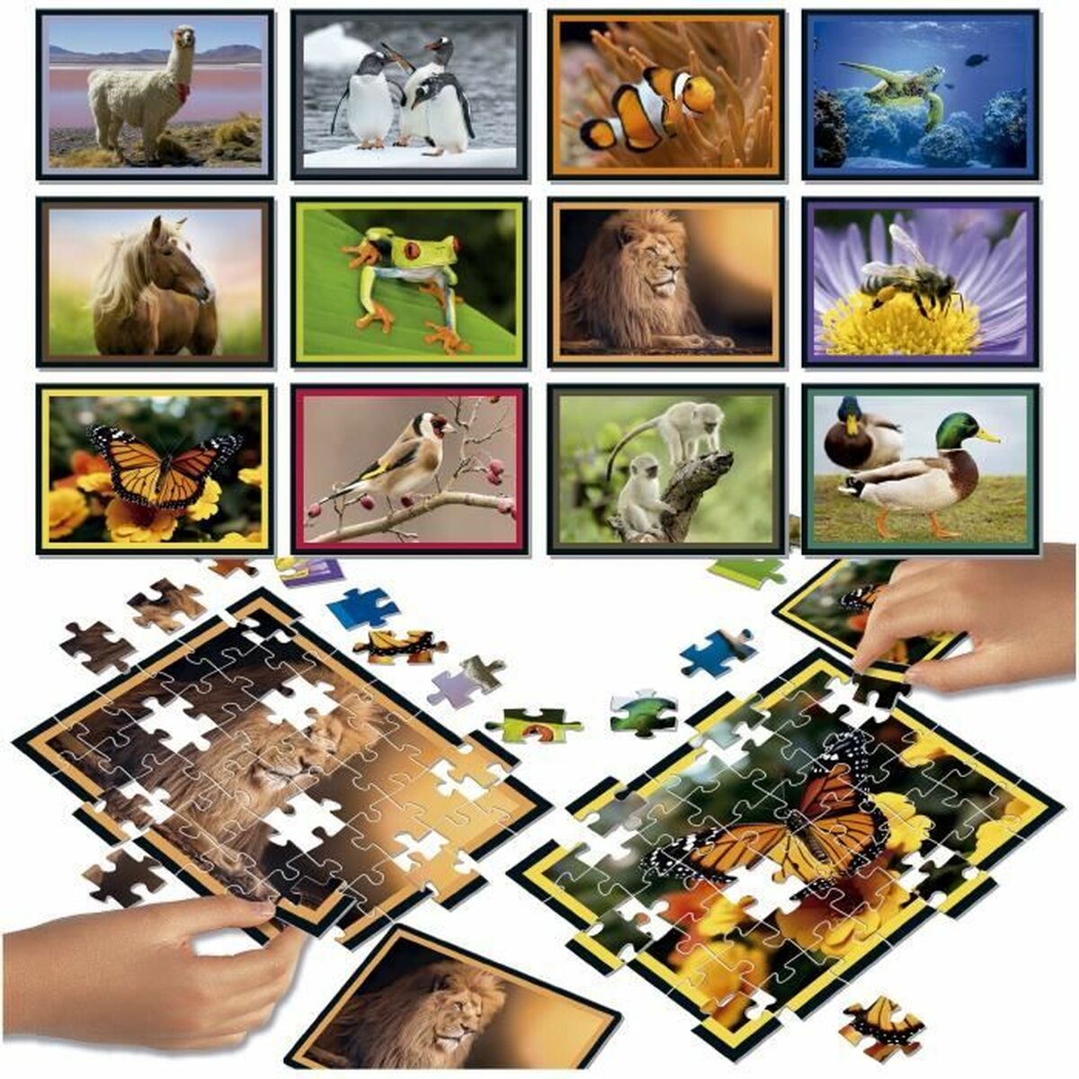 Puzzle Educa Battle Jr Natura 42 Piese (12 Unități) - Jucarii si jocuri, Puzzle-uri și puzzle-uri