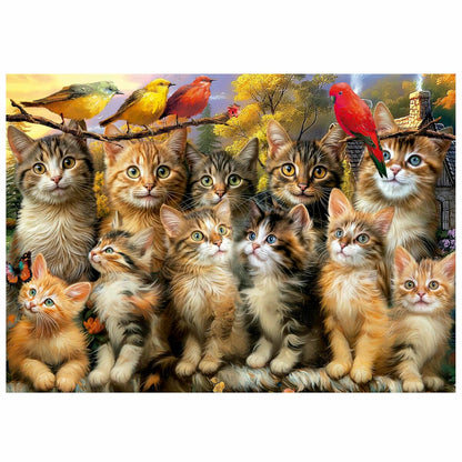 Puzzle Educa Gatitos y Pájaros 500 Piese - Jucarii si jocuri, Puzzle-uri și puzzle-uri