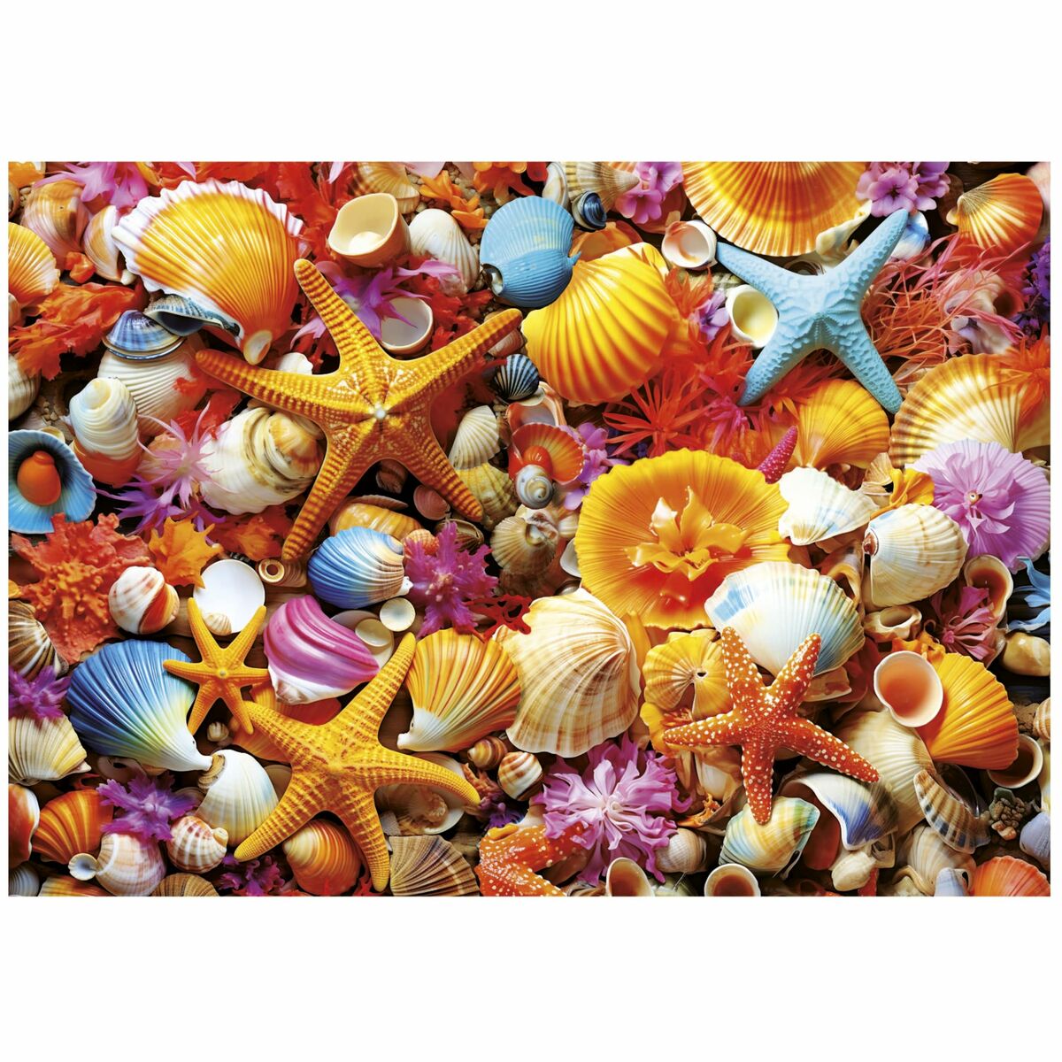 Puzzle Educa Collage de Conchas 1000 Piese - Jucarii si jocuri, Puzzle-uri și puzzle-uri