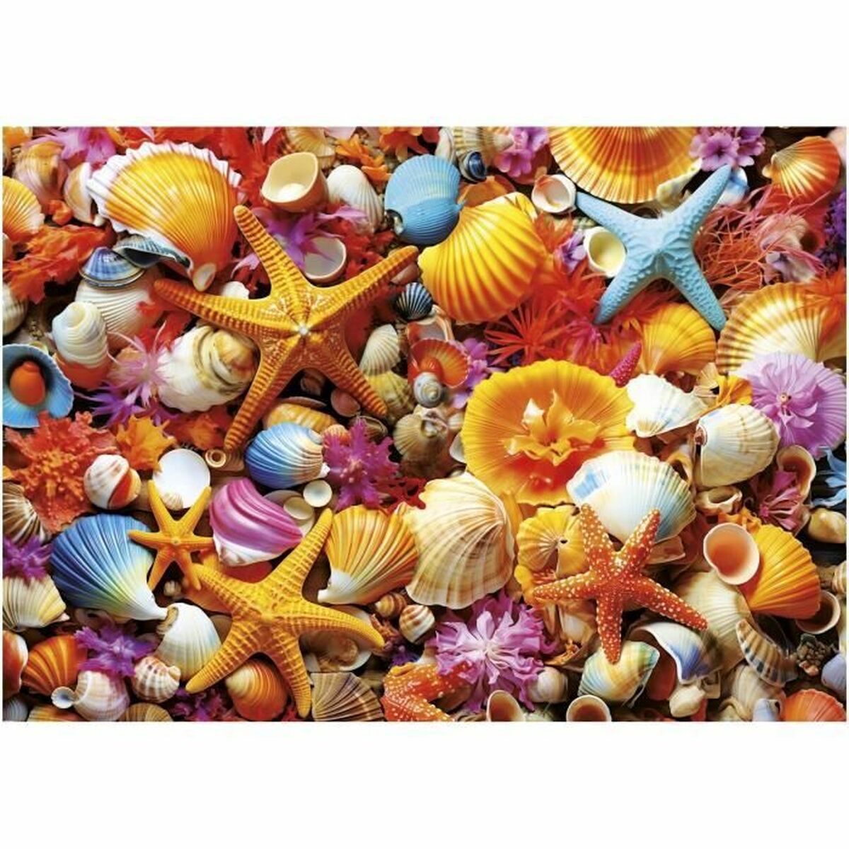 Puzzle Educa Collage de Conchas 1000 Piese - Jucarii si jocuri, Puzzle-uri și puzzle-uri