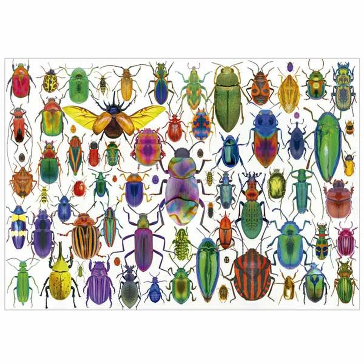Puzzle Educa Beetles - Jucarii si jocuri, Puzzle-uri și puzzle-uri