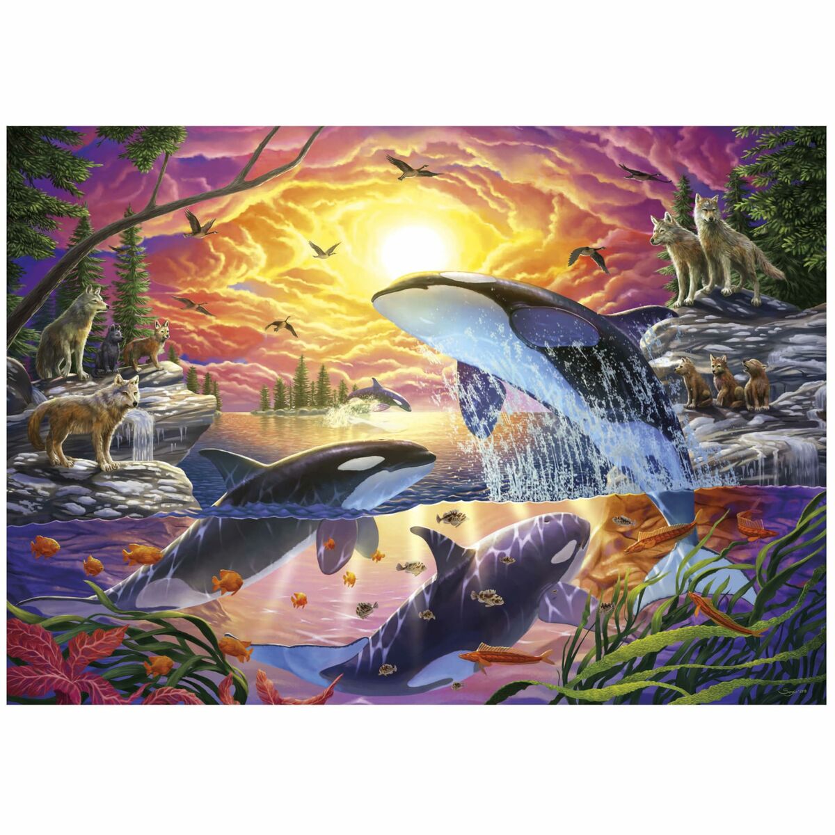 Puzzle Educa Orcas y Lobos 4000 Piese - Jucarii si jocuri, Puzzle-uri și puzzle-uri