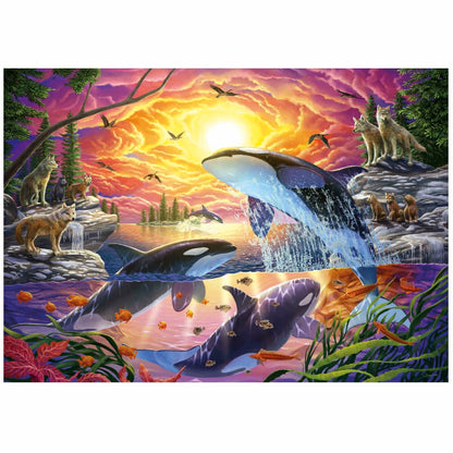 Puzzle Educa Orcas y Lobos 4000 Piese - Jucarii si jocuri, Puzzle-uri și puzzle-uri