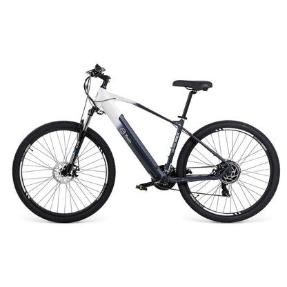 Bicicletă Electrică Youin BK3000 EVEREST 250 W 29" Negru - Sport și în aer liber, Ciclism