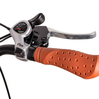 Bicicletă Electrică Youin BK2128C Crem 28" 250 W - Sport și în aer liber, Ciclism