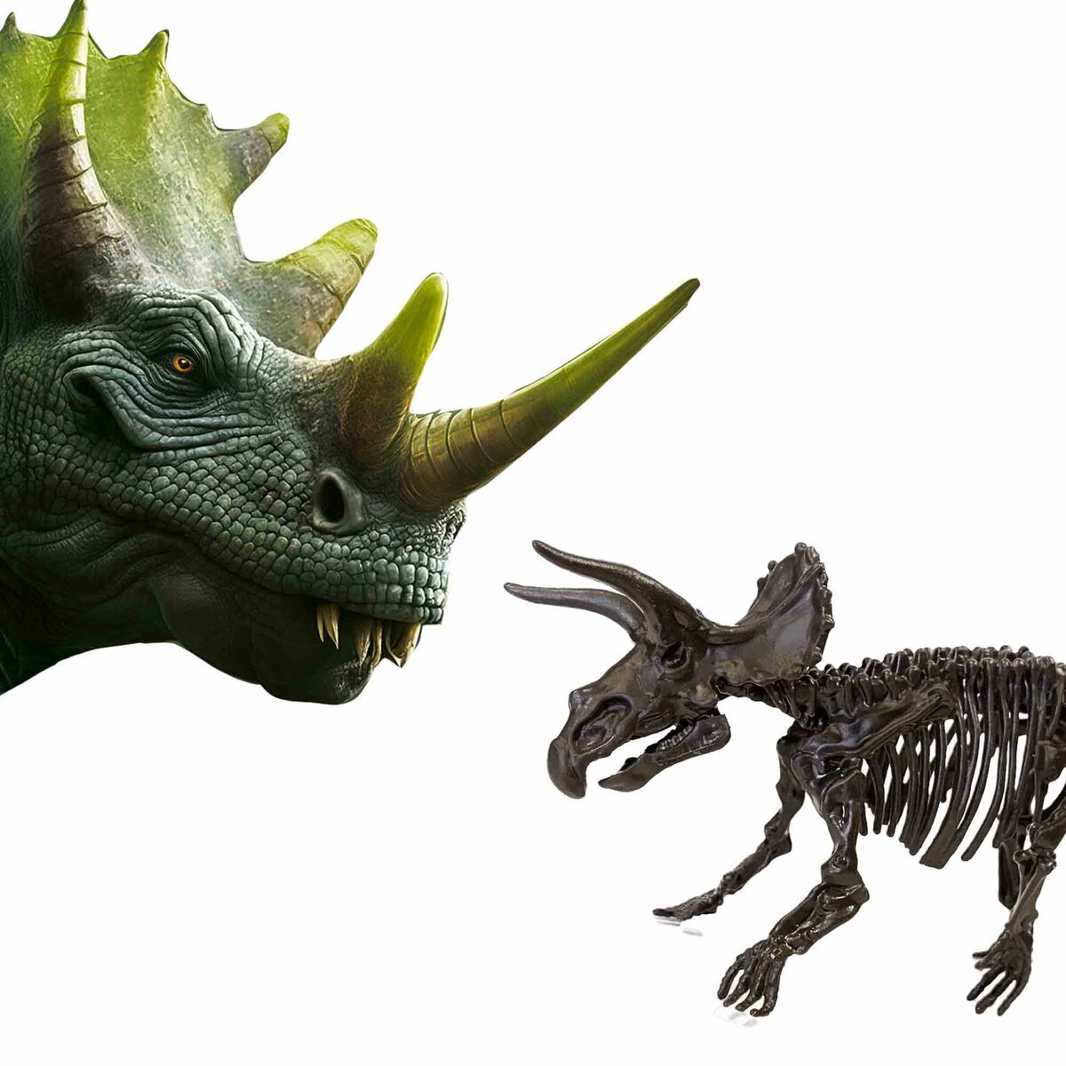 Joc de Excavare SES Creative Triceratops - Jucarii si jocuri, Învățare și educație