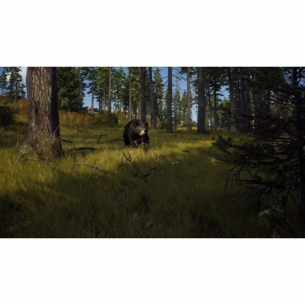 Joc video PlayStation 5 THQ Nordic Way of the Hunter Wild Expeditions (FR) - Electronică, Joc video