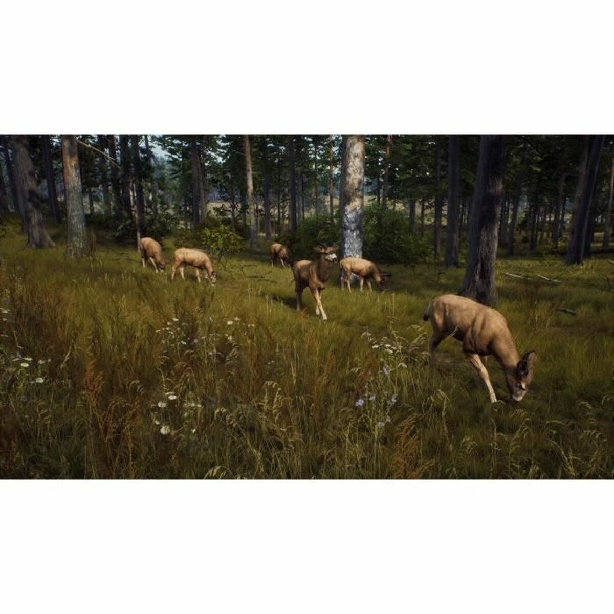 Joc video PlayStation 5 THQ Nordic Way of the Hunter Wild Expeditions (FR) - Electronică, Joc video