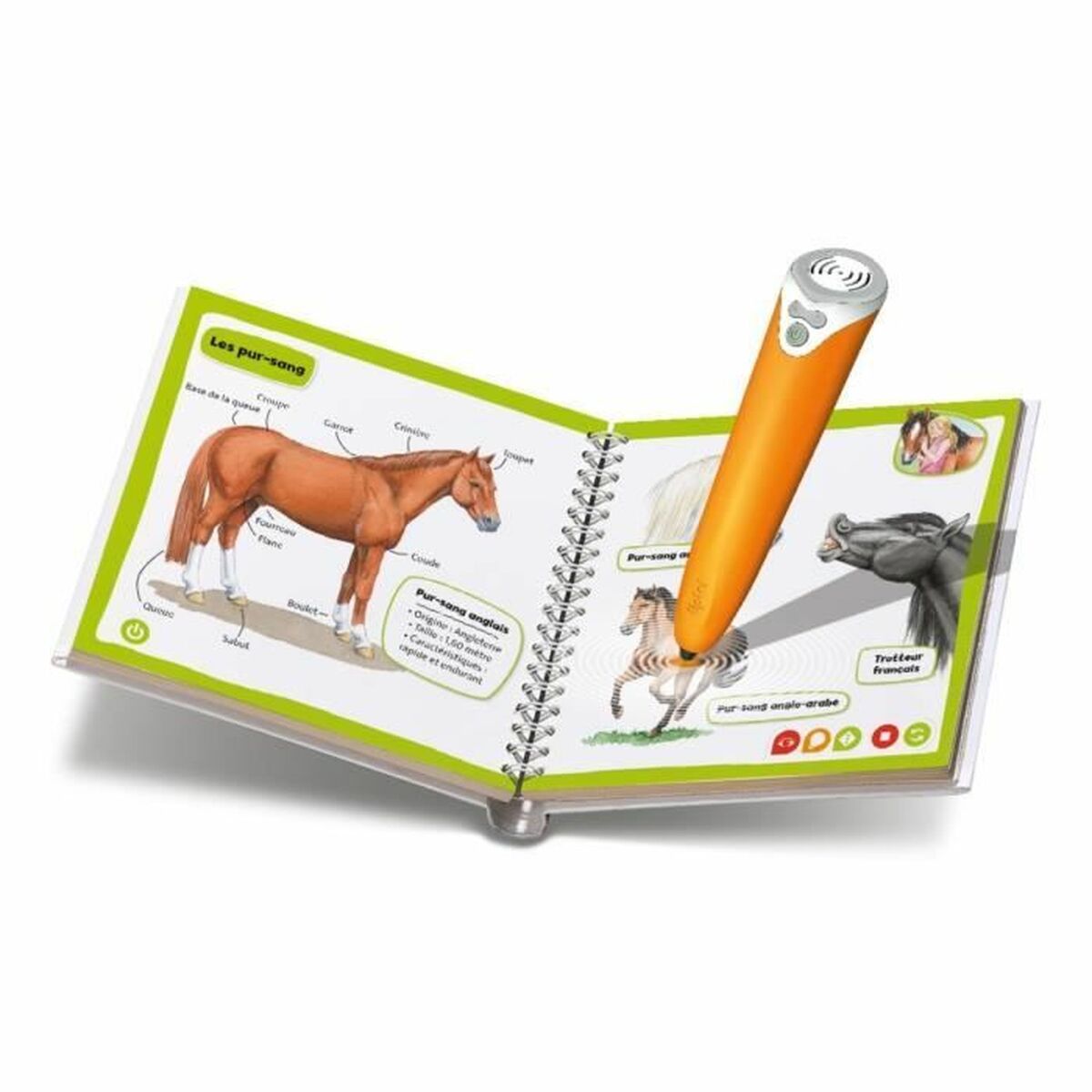 Joc Educativ Ravensburger - Jucarii si jocuri, Jocuri și accesorii