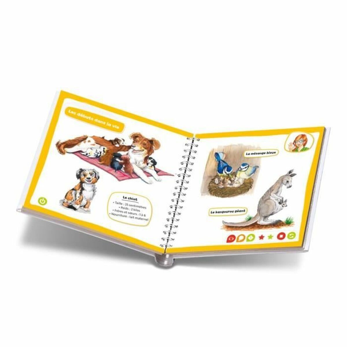 Joc Educativ Ravensburger - Jucarii si jocuri, Jocuri și accesorii
