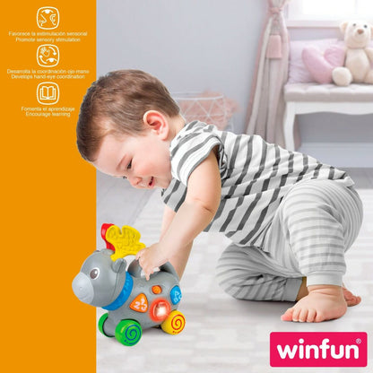 Jucărie de tras și împins Winfun Elan 17 x 17 x 7,5 cm (6 Unități) - Bebelus, Jucăriile copilăriei timpurii