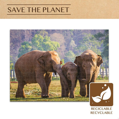 Puzzle Colorbaby Elephant 500 Piese 6 Unități 61 x 46 x 0,1 cm - Jucarii si jocuri, Puzzle-uri și puzzle-uri