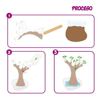 Joc de știință Lisciani Botánica ES (6 Unități) - Jucarii si jocuri, Învățare și educație