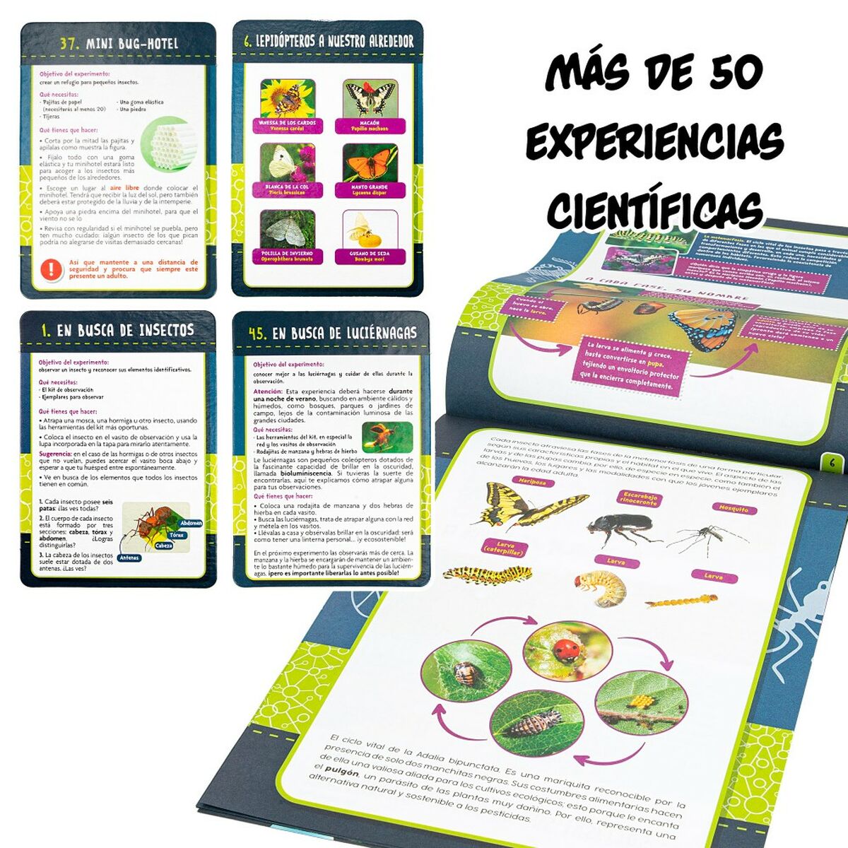 Joc de știință Lisciani Insectos ES (6 Unități) - Jucarii si jocuri, Învățare și educație