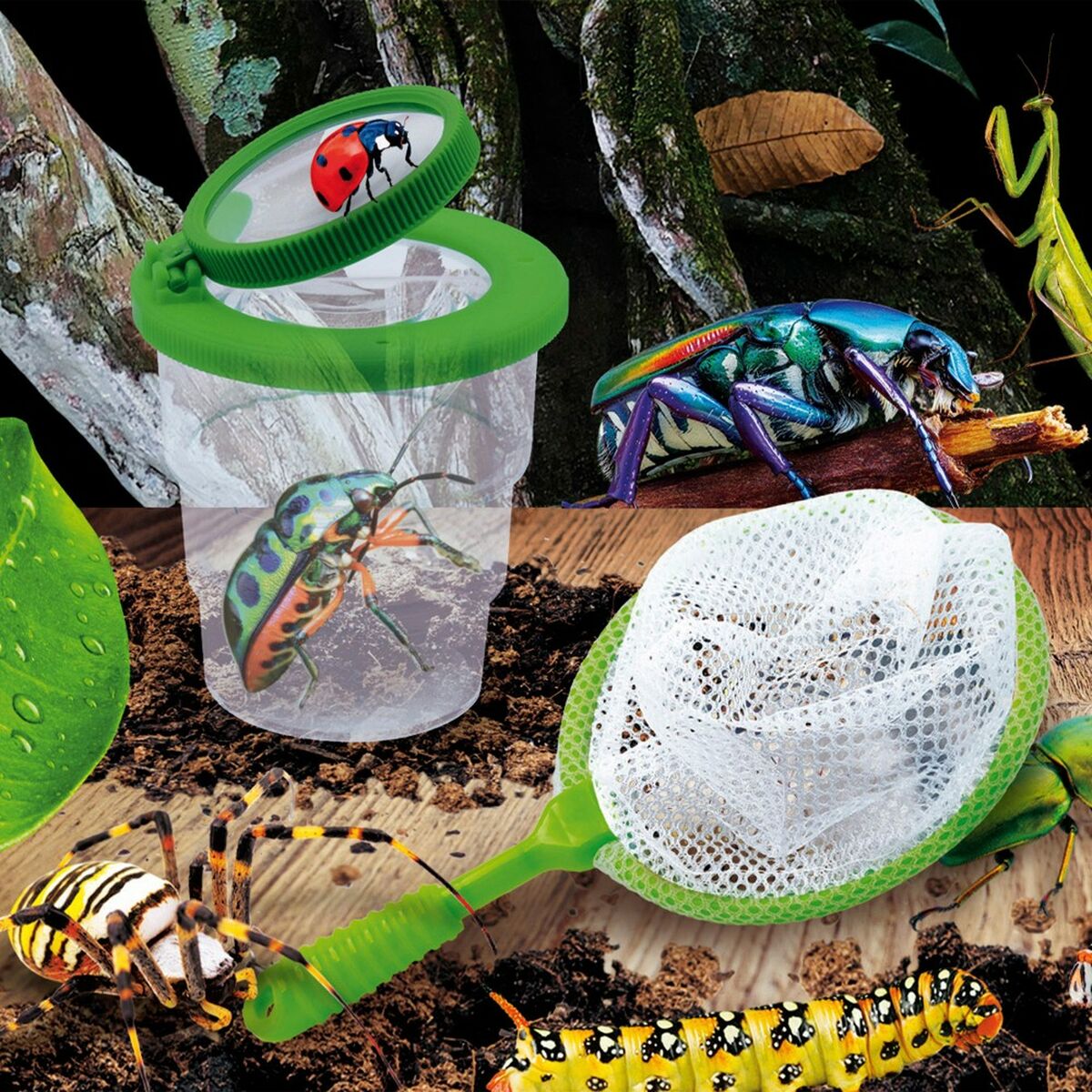 Joc de știință Lisciani Insectos ES (6 Unități) - Jucarii si jocuri, Învățare și educație