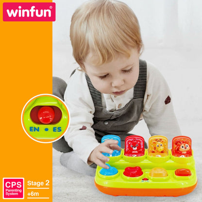 Jucărie muzicală Winfun 25 x 12 x 14 cm (4 Unități) - Bebelus, Jucăriile copilăriei timpurii