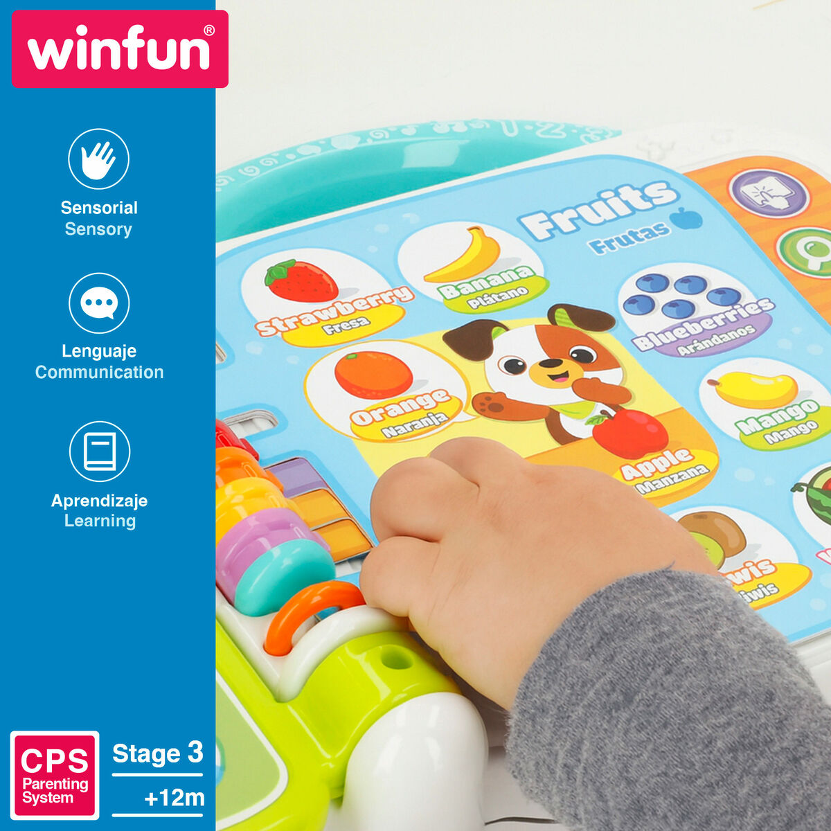 Carte de activități pentru copii Winfun (4 Unități) - Bebelus, Jucăriile copilăriei timpurii
