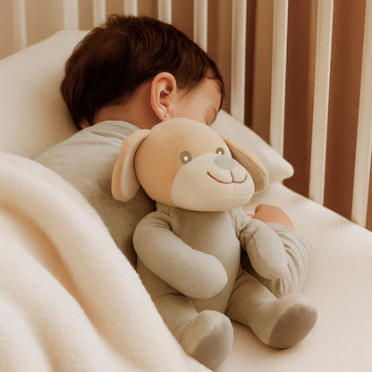 Jucărie de Pluș Colorbaby Poliester 20 x 25 x 20 cm (6 Unități) - Jucarii si jocuri, Jucării de pluș