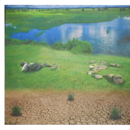 Set de Animale Sălbatice Colorbaby Plastic 13 x 12 x 5 cm (4 Unități) - Jucarii si jocuri, Păpuși și figurine