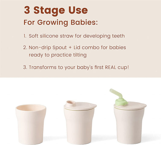 Pahar cu capac si pai antrenament bebelusi Miniware 1-2-3 Sip!, 100% din materiale naturale biodegradabile, Toffee -