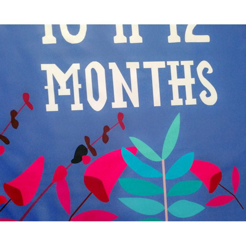Paturica Milestone subtire pentru fotografii memorabile Fluture mov Drool