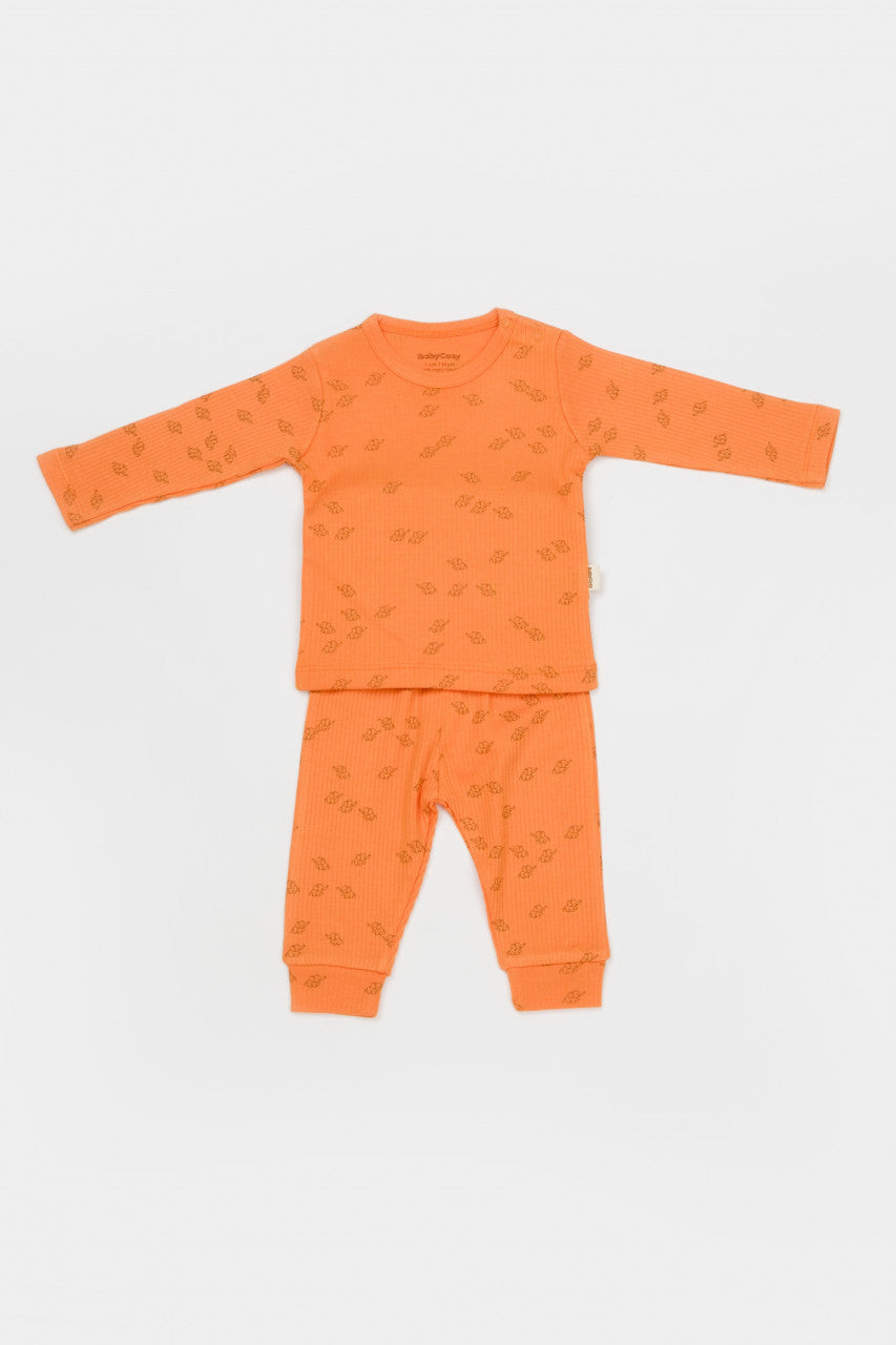 Set 3 piese:bluza, pantaloni si caciulita Printed, BabyCosy, 50% modal+50% bumbac, Apricot