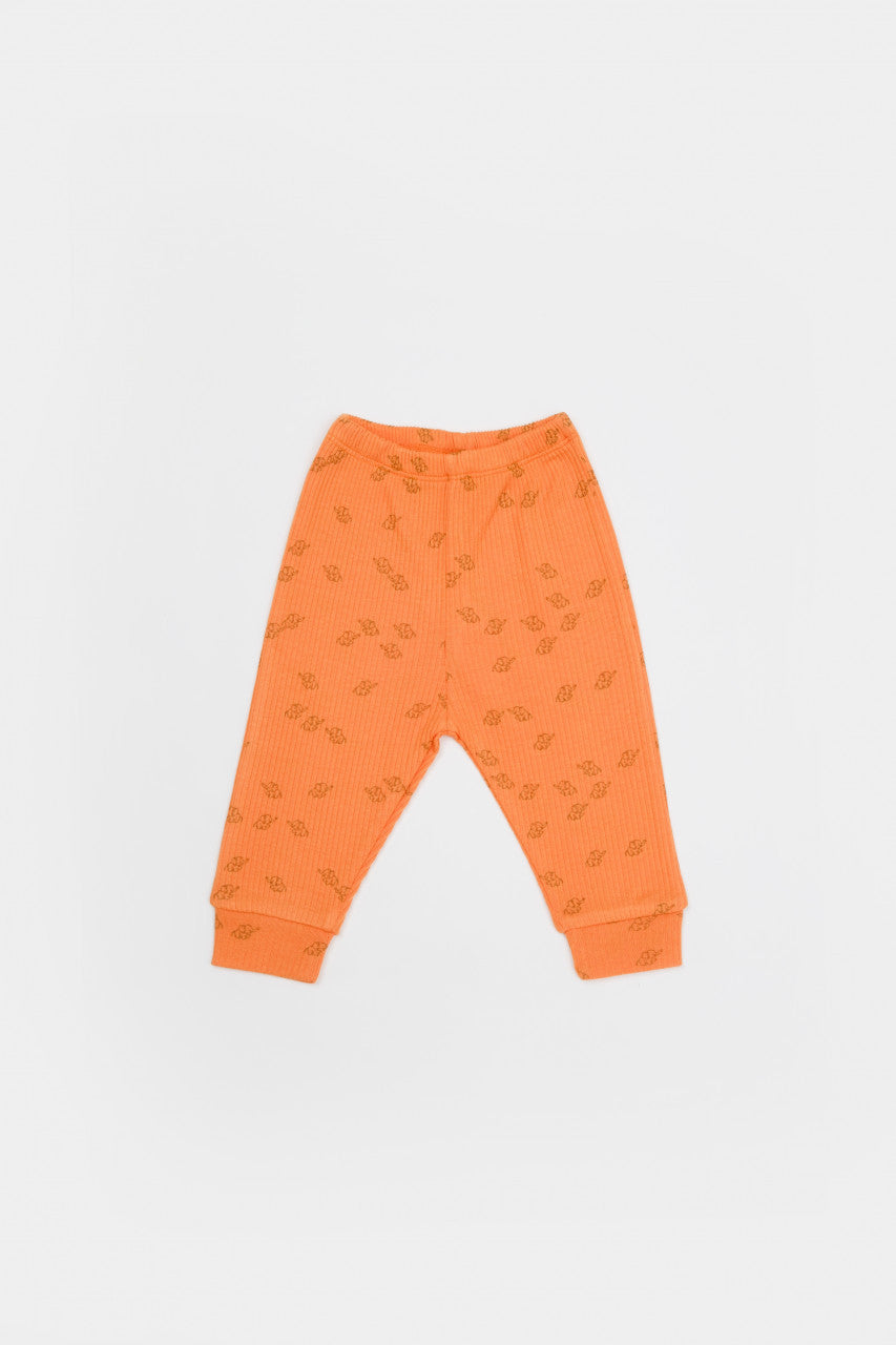Set 3 piese:bluza, pantaloni si caciulita Printed, BabyCosy, 50% modal+50% bumbac, Apricot