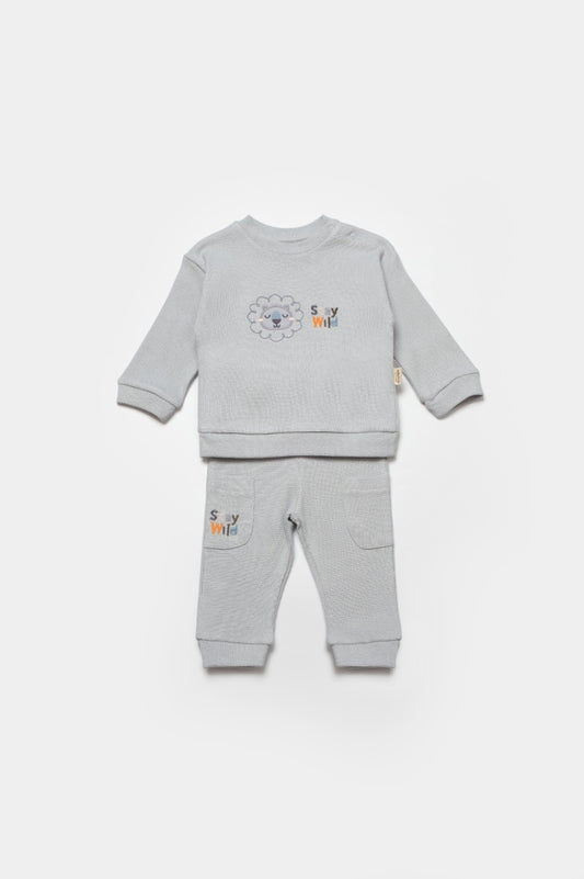 Set bluzita cu pantalon Lion, gri, BabyCosy, 100%bumbac - Bluza, Pantaloni