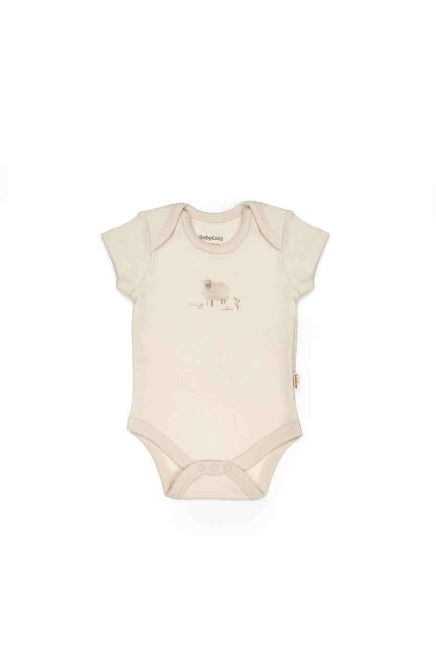 Set de 10 piese pentru nou nascut, 100% bumbac organic, Lamb, BabyCosy