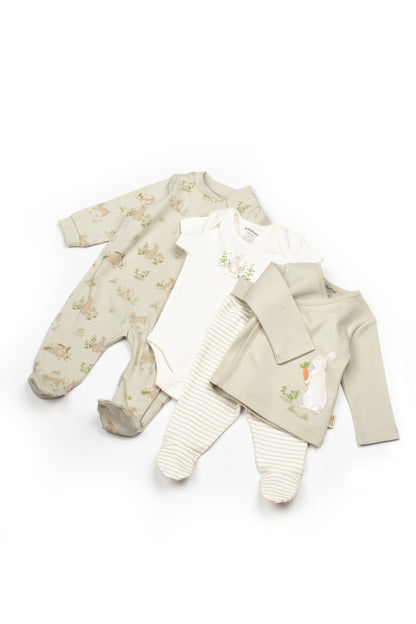 Set de 10 piese pentru nou nascut, 100% bumbac organic, Rabbit, BabyCosy