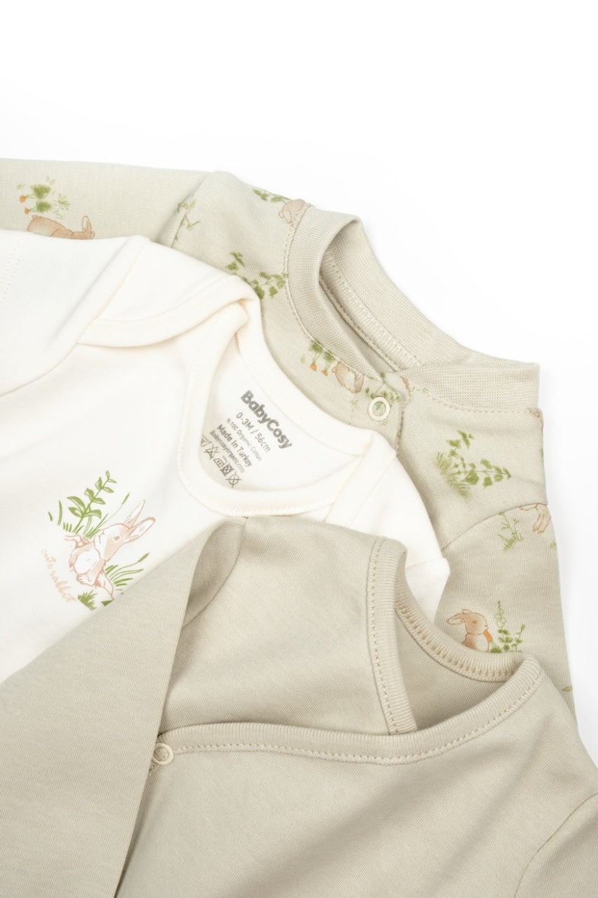 Set de 10 piese pentru nou nascut, 100% bumbac organic, Rabbit, BabyCosy