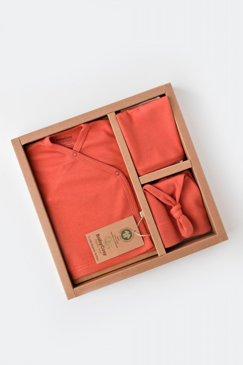 Set de 5 piese pentru nou nascut - 100% bumbac organic - Scortisoara, BabyCosy