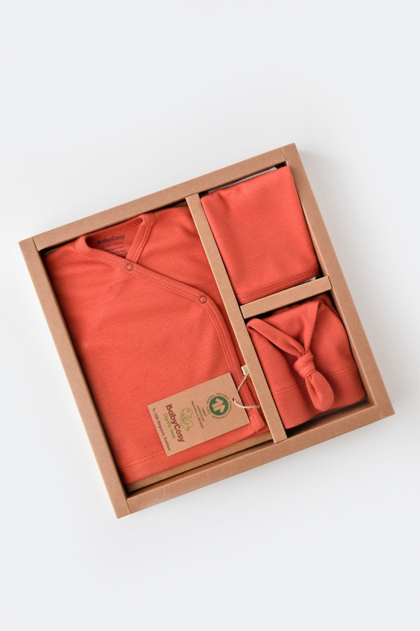 Set de 5 piese pentru nou nascut - 100% bumbac organic - Scortisoara, BabyCosy