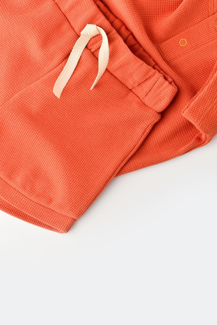 Set tricou cu pantaloni scurti - 100% bumbac organic - Scortisoara, BabyCosy