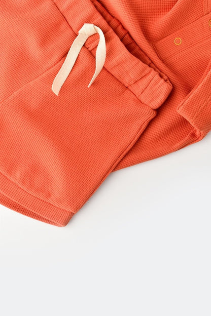 Set tricou cu pantaloni scurti - 100% bumbac organic - Scortisoara, BabyCosy